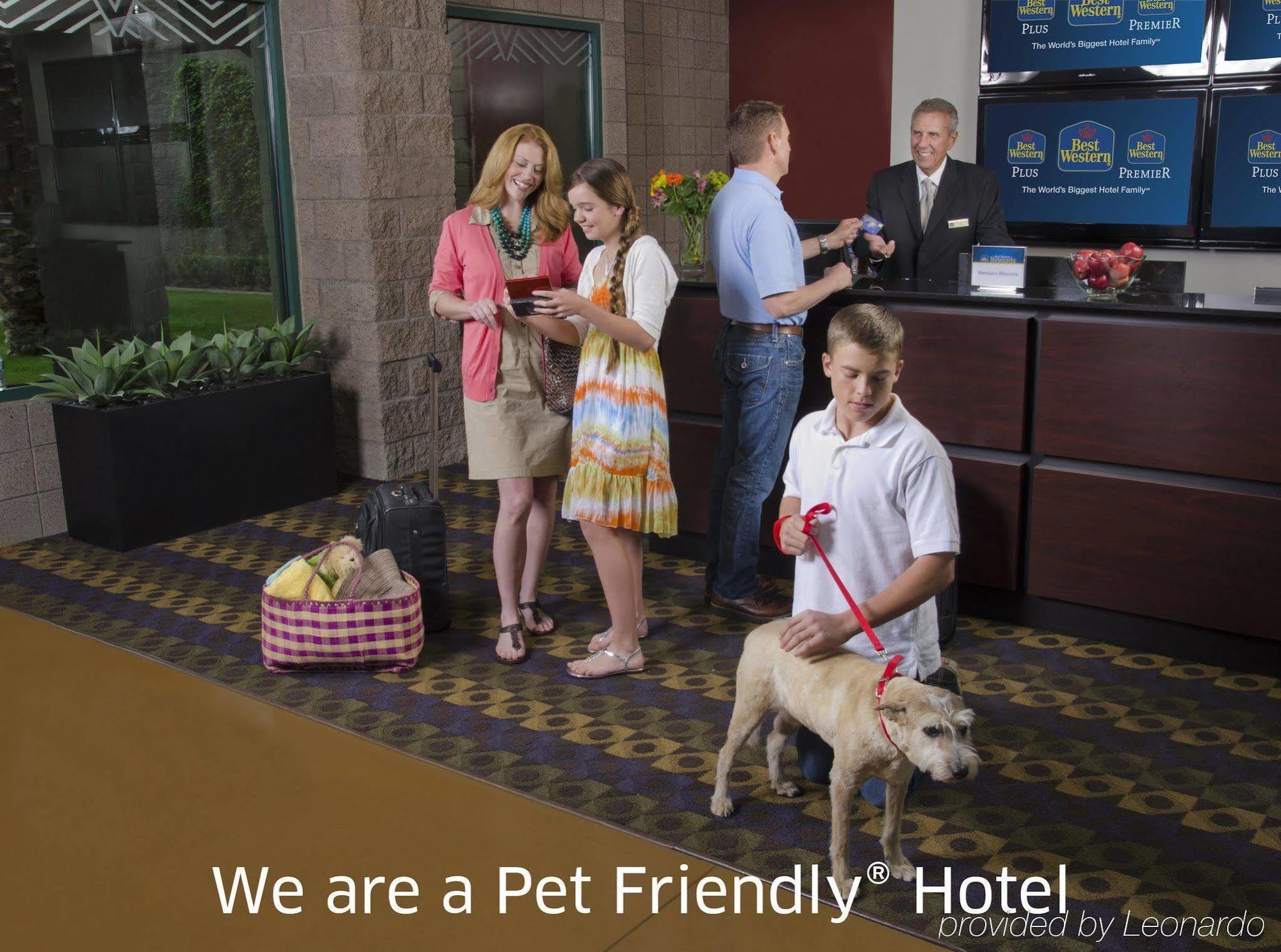 Best Western Plus Lytle Inn And Suites Eksteriør bilde
